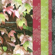 11360 fall colouring