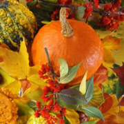 1210-7203 goldene ernte