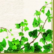 12505820 tendril cream