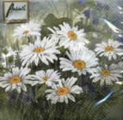 12506650  marguerite forest