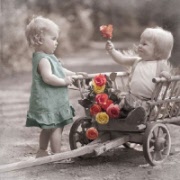 13309935.jpg  little romeo