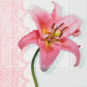 21183 lilie pink rosa