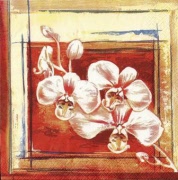 3 orchideen in modernem rahmn 001