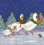 a walk in the snow 001