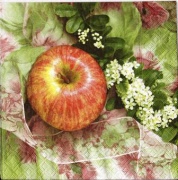 apfel mit blumenzweig 001