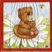 bärli auf margrite 001