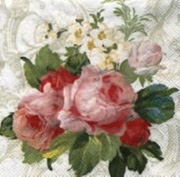 bauty weiss 492690 25 x25