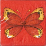 big butterfly rot 001