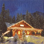 blockhaus im wald 001