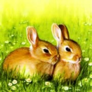 bunny friends 01185