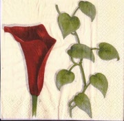 callas rot 001