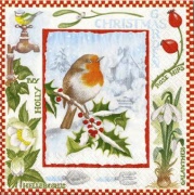 chrisrmas garden 001