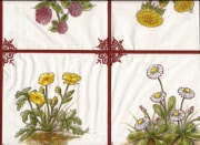 cottage craft red 001