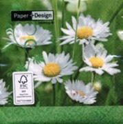 daisies on green 11477 25 x 25