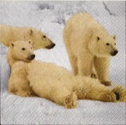 eisbären family 001