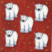 eisbären rot 001