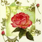 enchanting green 343659