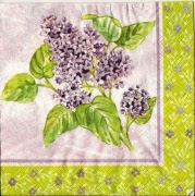 fieder mit borde 001