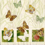 flying away cream 001