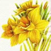 grosse aprilglocken 001