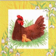 hen 001