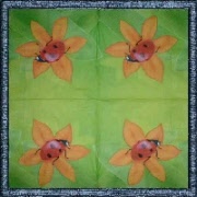 ins083_gelbe_blume_mit_marienkaefer_tn