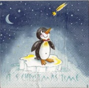 it s christmas time 001