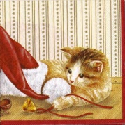 katz und maus creme 001