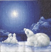 kinder das ist ein grosses licht 001