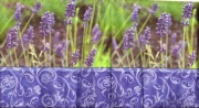 lavendel mit bord 001