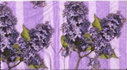 lilac 001