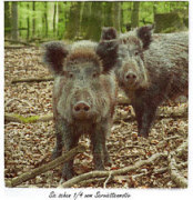 mccjrhxm6vv54jb47apnegq