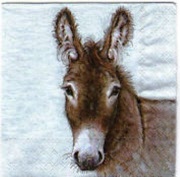 mo4qih1os1rrefywc6axkuw