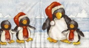pingu family rar 001