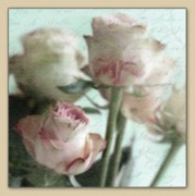 pink roses bouquet-80075