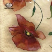 poppy cream -084660 25 x 25