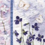 purple spring 494100 25 x 25