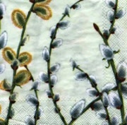 pussy willow green  weidenkätzchen 469120 25 x 25