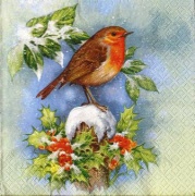 robin - ice blue 001