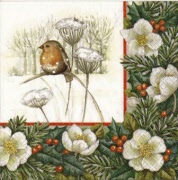 robin auf verschn zweig 001