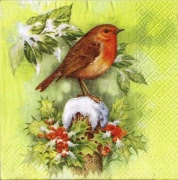 robin light green 001