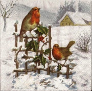 robins auf dem zaun 001