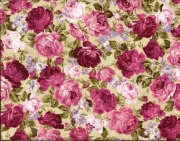 rosa  pink  mit gäans 001