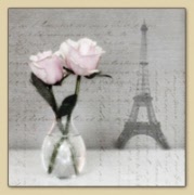 roses paris 80072