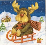 rudi in voller fahrt 001