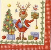 rudi mit kurzen hosen 001