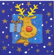 rudi mit päckli am ohrblau 001