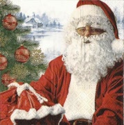 santa mit brille 001