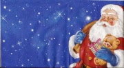 santa mit teddy 001
