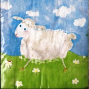 schäfchen rosali 001